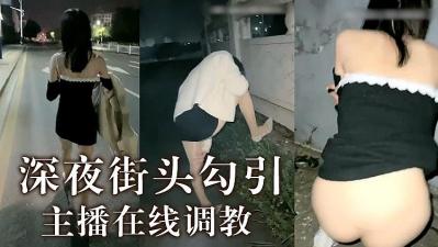 夜夜夜AV视频一二三区,韩国三级片无码的,主播深夜调教的!